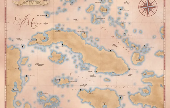 Assassin's Creed Black Flag Map