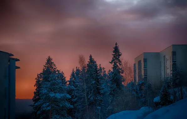 Trees, landscape, dawn, home, architecture, Finland, Helsinki