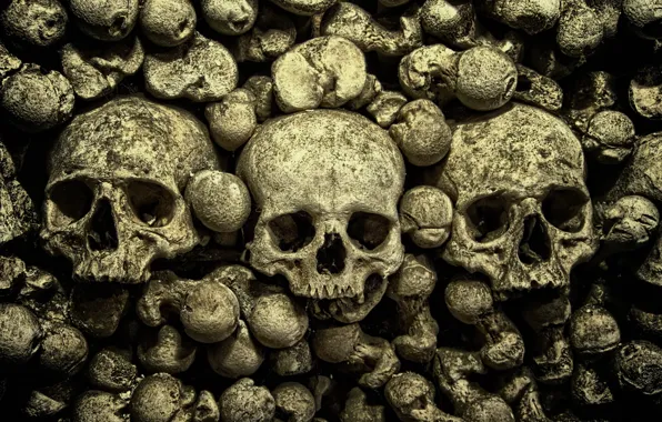 Macro, background, skull