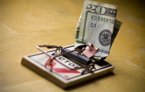 Picture macro, money, mousetrap, dollars