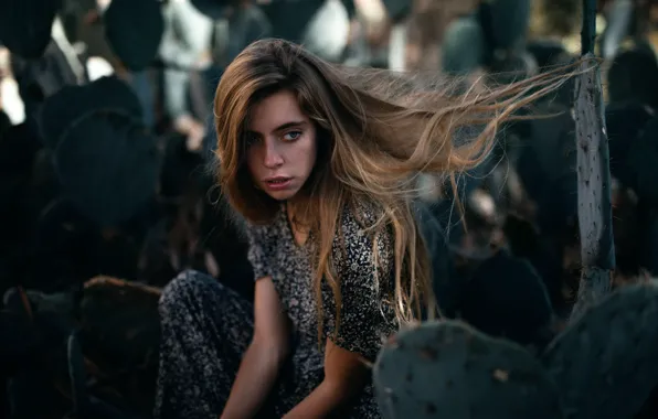 Hair, cactus, Marta, Jesse Duke