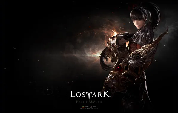 Picture look, armor, warrior, Lost Ark