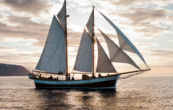 The ocean, the wind, coast, ship, sailboat, sails, swimming, handsome