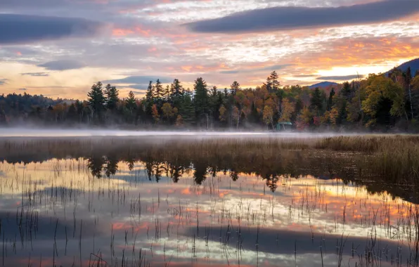 Autumn, fog, lake