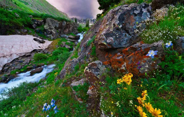 Landscape, mountains, nature, stream, stones, vegetation, USA, New Mexico