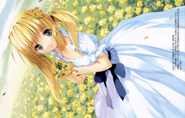Summer, blue eyes, Alice in Wonderland, white dress, flower field, a bunch, Alice, alice in …
