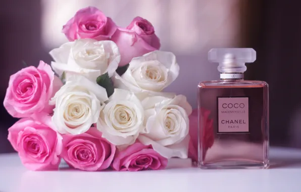 Flowers, roses, bouquet, pink, white, perfume, Chanel Coco Mademoiselle