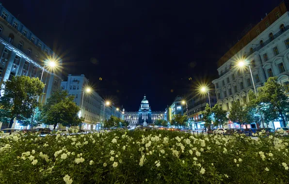 Trees, flowers, night, the city, building, Prague, Czech Republic, lighting
