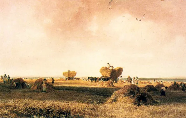 Field, the sky, birds, people, picture, hay, the harvest, who