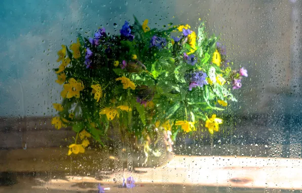 Glass, drops, flowers, yellow, bouquet, blur, window, still life