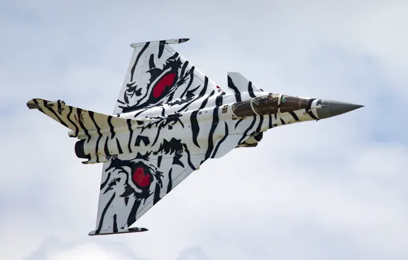 Picture multi-role fighter, French, Rafale, Rafal