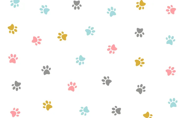 Texture, colorful, white background, design, kitten, pattern