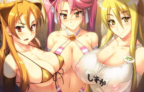 Swimsuit, girl, three friends, Big Tits