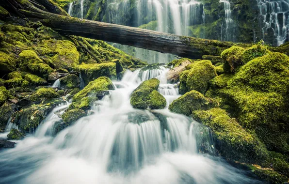 Forest, landscape, stones, waterfall, moss