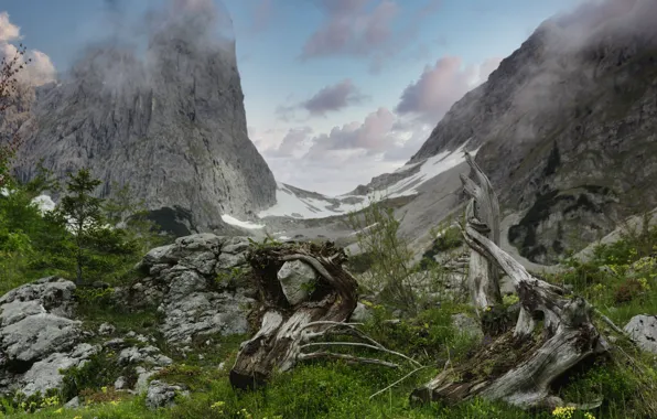 Picture grass, mountains, stones, Austria, Alps, driftwood