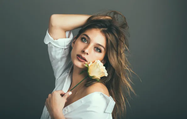 Flower, look, girl, face, pose, background, hair, rose