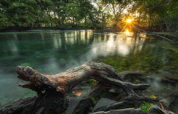 The sun, light, river, morning, jungle