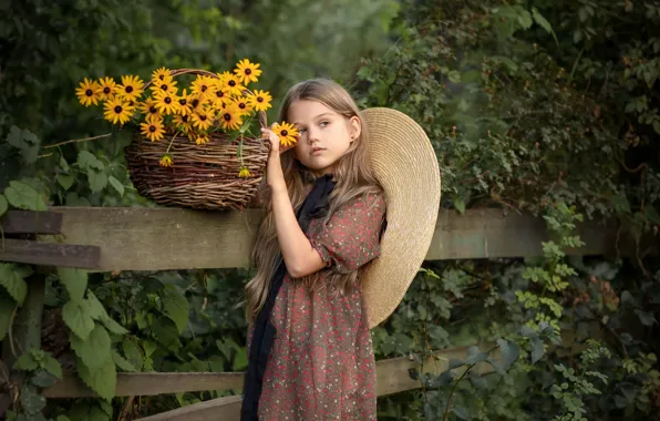 Picture summer, leaves, flowers, nature, basket, Board, hat, dress