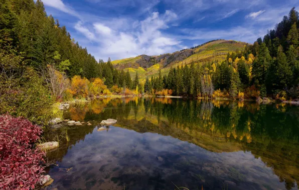 Autumn, forest, mountains, lake, reflection, Colorado, Colorado, Lizard Lake