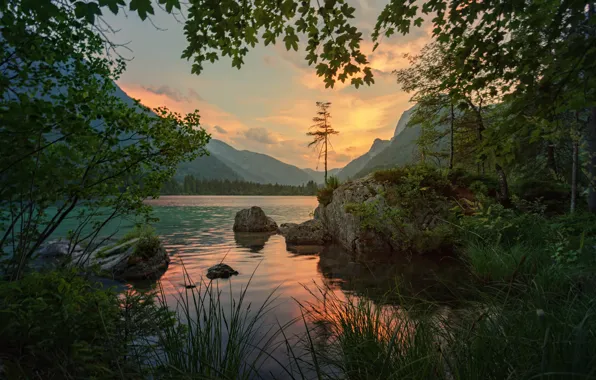 Picture grass, trees, landscape, sunset, mountains, branches, nature, lake, stones
