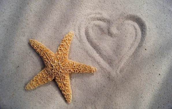 Picture sand, figure, heart, Starfish