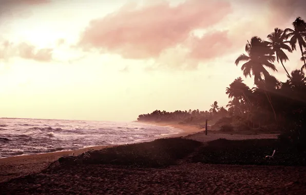 Sand, sea, water, trees, photo, the ocean, Wallpaper, shore