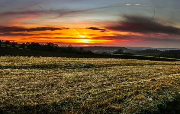 Field, sunset, nature