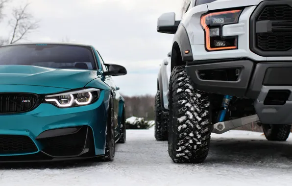 Picture Ford, BMW, Blue, Winter, Raptor, Snow, White, F150