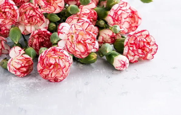 Bouquet, pink, clove, Iryna Melnyk