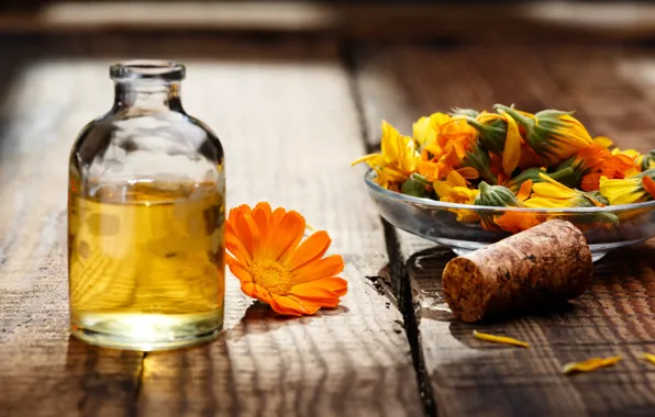 Flowers, Board, oil, petals, tube, bowl, orange, marigolds