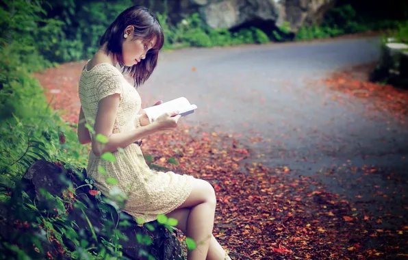 Picture road, girl, book, Asian