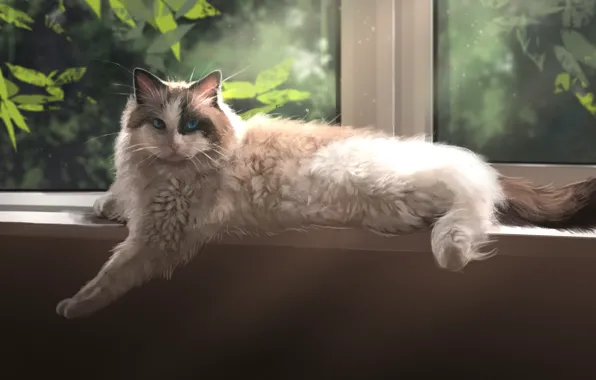 Cat, Window, Foliage