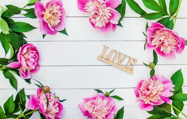 Flowers, love, pink, wood, pink, flowers, beautiful, romantic
