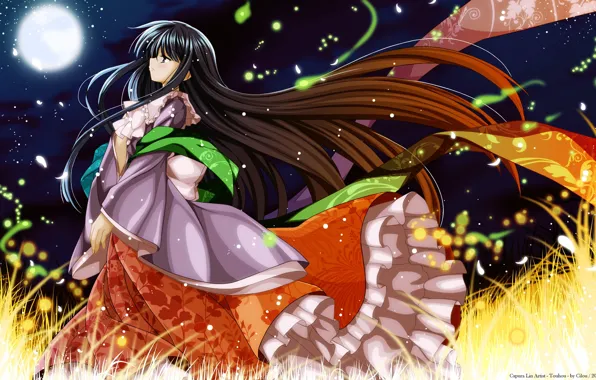 Picture grass, night, the wind, magic, long hair, art, Capura Lin, Touhou Project