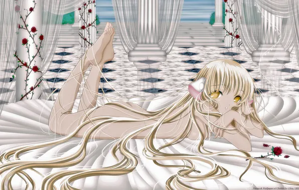 Flowers, chii, chobits