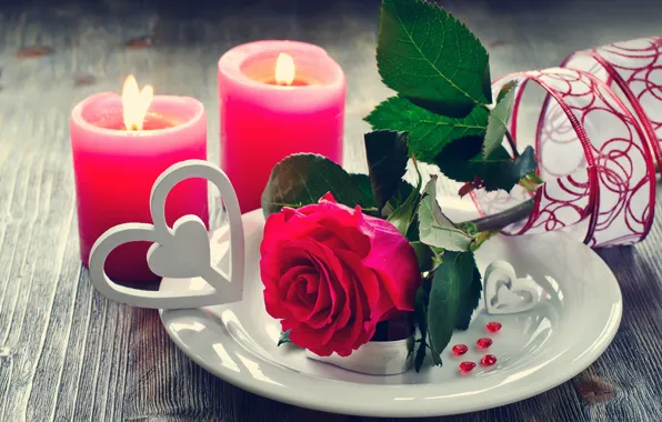 Picture love, flowers, roses, candles, petals, valentine's day