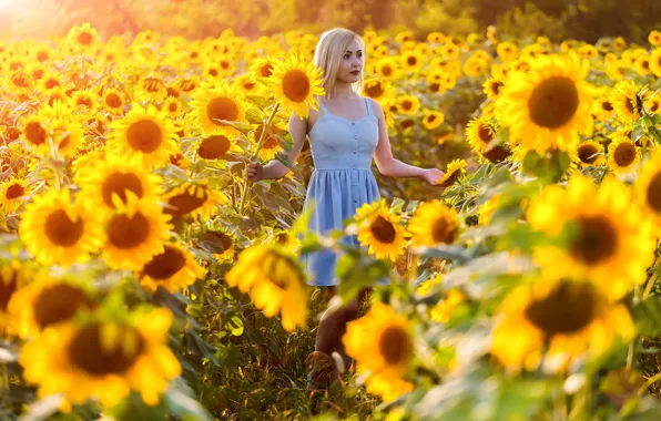 Picture look, sunflowers, model, Girl, dress, Paul Sahaidak