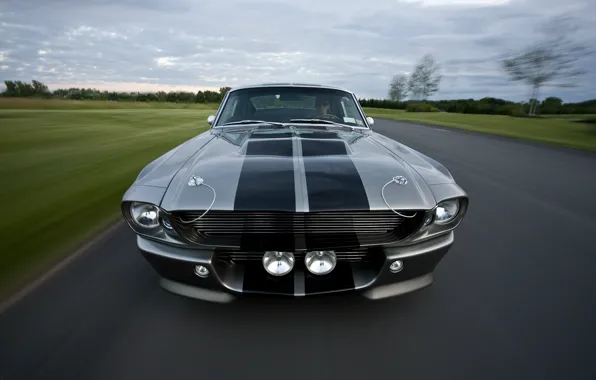 Picture road, Wallpaper, Mustang, Ford, Shelby, GT500, Eleanor, Ford