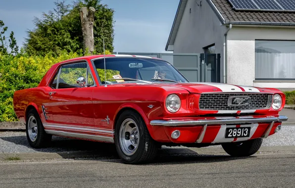 Picture Mustang, Ford, Red, White, Stripes