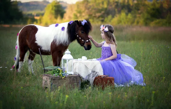 Picture horse, girl, pony