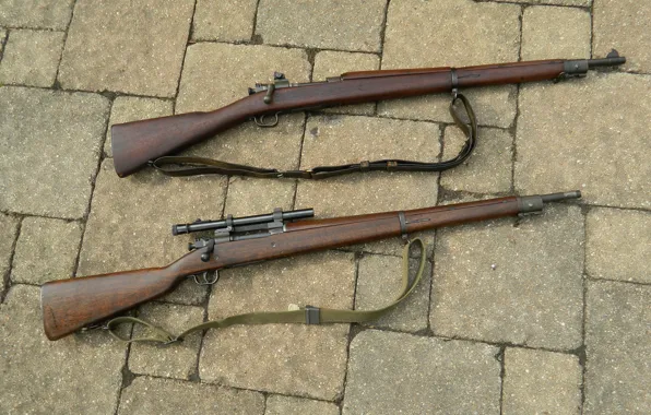 Weapons, rifle, store, M1903A3