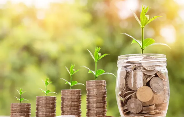 Greens, nature, coins