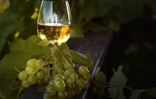 Greens, leaves, wine, glass, garden, grapes, bokeh