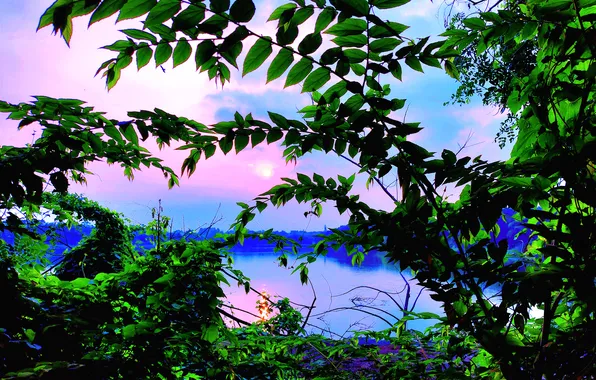 Sun, Water, Sunrise, Dawn, Morning, Lake, Trees, Reflection