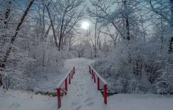 Picture winter, snow, trees, Park, the bridge