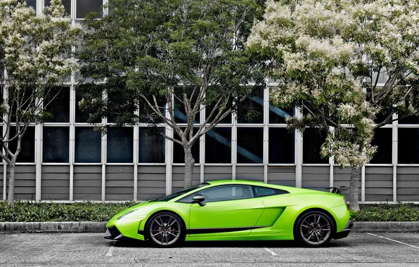Lamborghini, cars, Superleggera, Gallardo, cars, auto wallpapers, car Wallpaper, auto photo