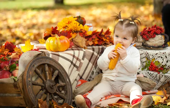 Autumn, Park, child, corn, girl, pumpkin