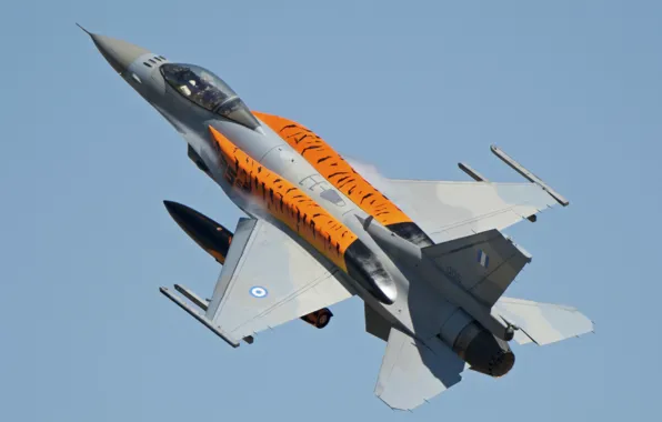 Fighter, Fighting Falcon, F-16C, Fighting Falcon
