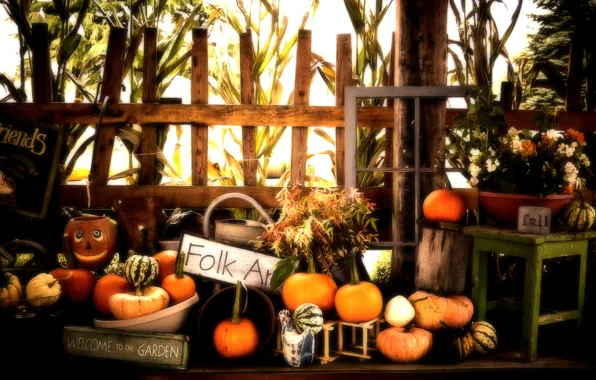 Picture Halloween, Pumpkins, Fall, Autumn