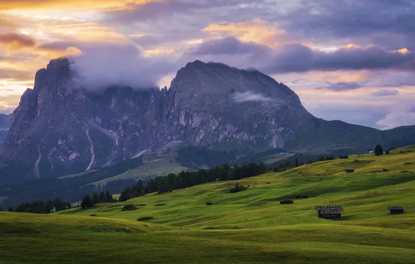 Greens, field, forest, the sky, clouds, mountains, rocks, hills